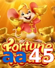 aa45